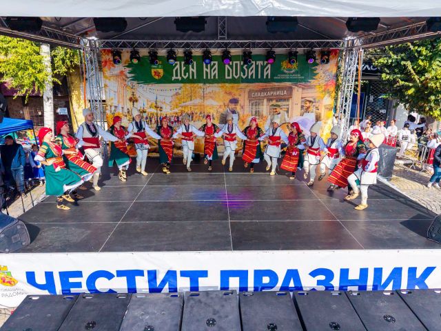 Поощриха финансово даровити деца от Радомир