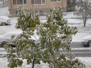 Валежи от дъжд и сняг предвиждат синоптици