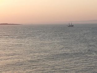 Трус в Черно море